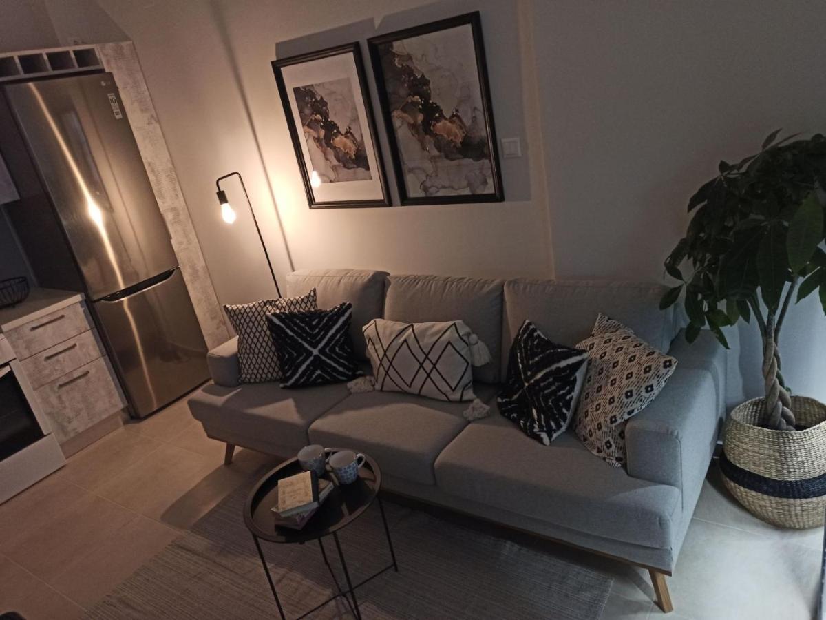 Stylish Ground Floor Maisonette Volos Bagian luar foto